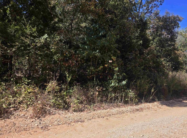 L-1, B-1 Northwood Drive, Highland, AR 72542