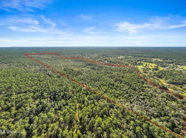 Reese Drive, Saucier, MS 39574