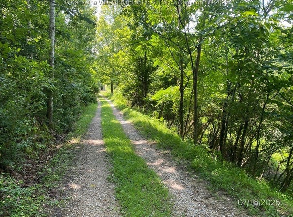 1232 Left Fork Joels Branch Road, Genoa, WV 25517