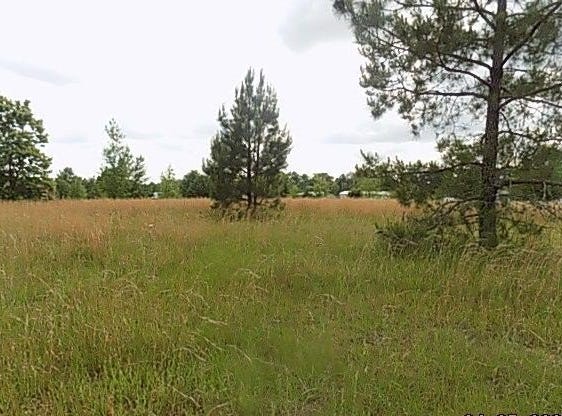 0 HANGING MOSS TRAIL, Cottonwood, AL 36320
