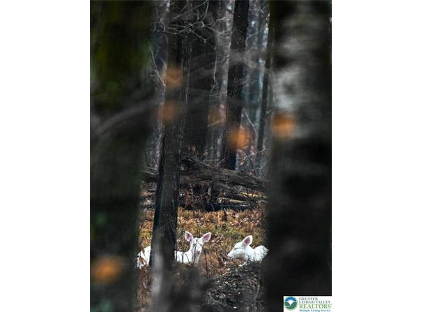1456 Clover Road, Tunkhannock Twp, PA 18334