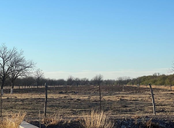 Silver Bridge Road, Quemado, TX 78877