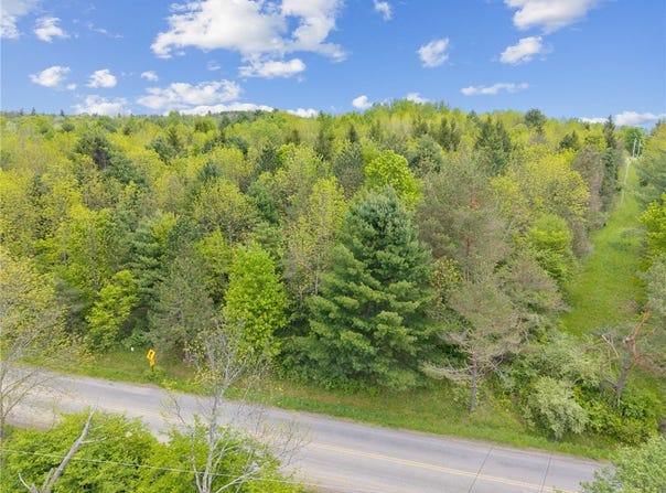 Lot 7B Blackman Hill Road, Caroline, NY 13736