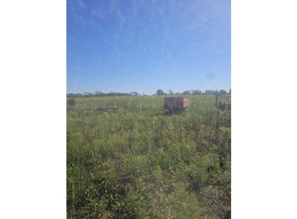 KELLOGG SCHOOL RD, Hickory Corners, MI 49060