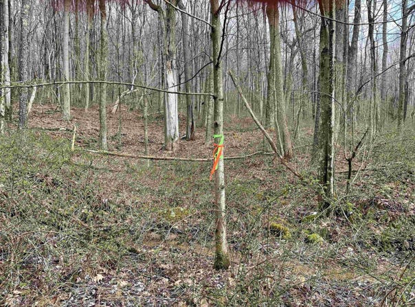 Hobbits Glenn Estates lot: 23, Masontown, WV 26542