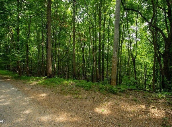 Lot 13a Sugar Maple Loop Road, Sevierville, TN 37862