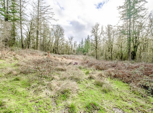 2468 MORROW CT, Salem, OR 97304