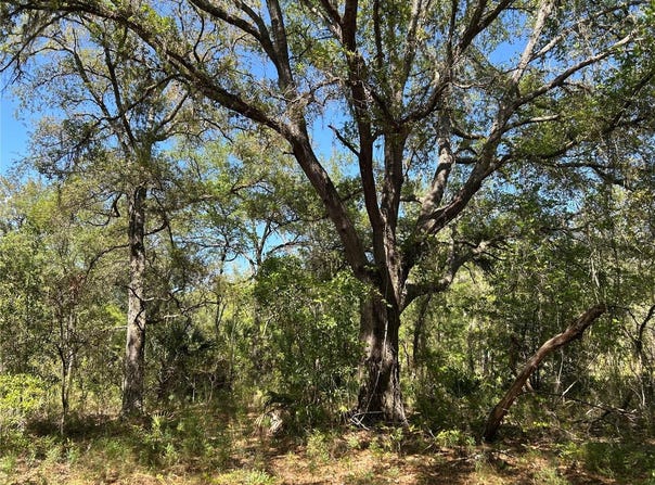 SE 62ND, MORRISTON, FL 32668