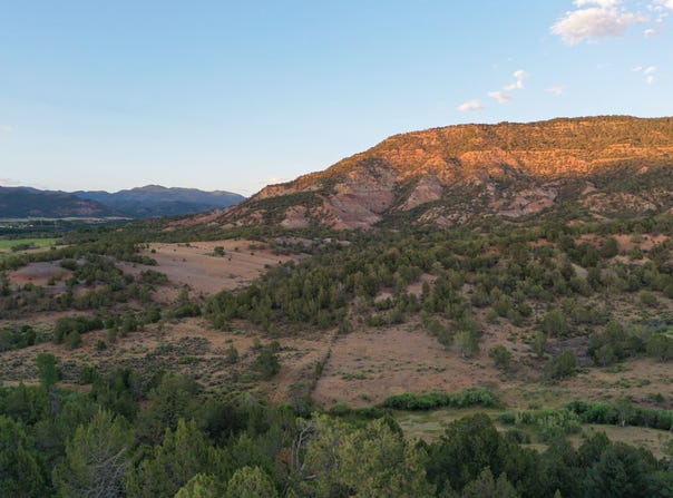 15590 Red Mountain Road, Collbran, CO 81624