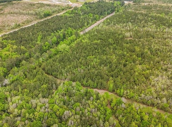 Highway 43, Mount Vernon, AL 36560