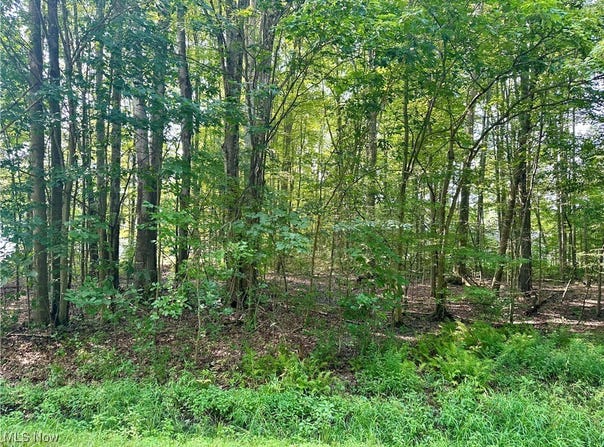 2047 N Park Lane, Roaming Shores, OH 44084