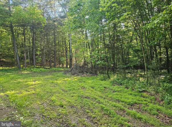 195 KNOTTY PINE ROAD, NEW BLOOMFIELD, PA 17068
