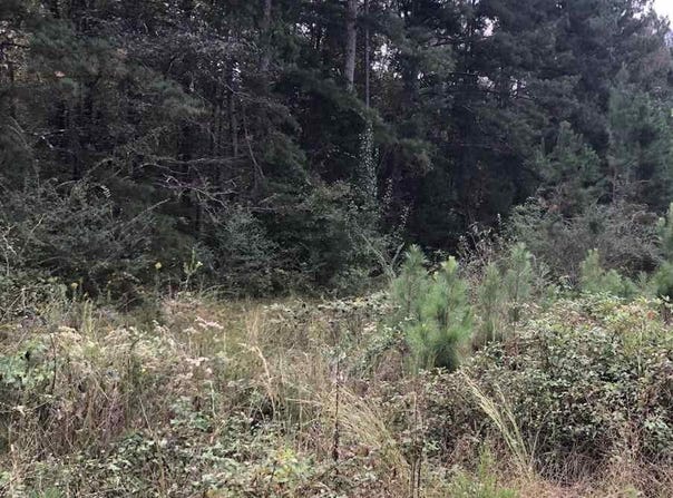 THOMASTON ROAD, LINCOLN, AL 35096