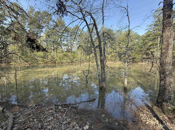 1314 Shoemaker Road, Violet Hill, AR 72584