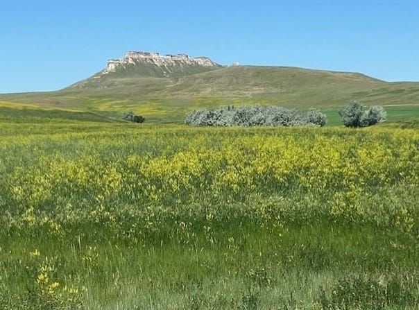 16547 Highway 79, Newell, SD 57760
