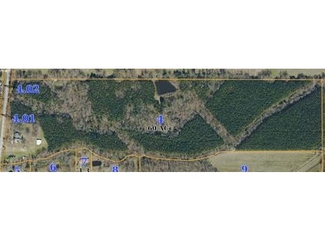 211 CR 445, Oxford, MS 38655