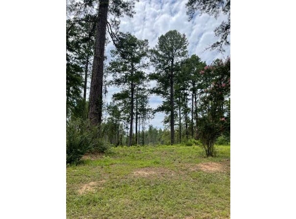 005 Carpenter St., Jena, LA 71342