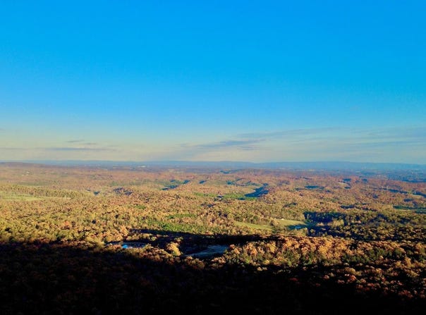 FOX Trail, WINCHESTER, VA 22602