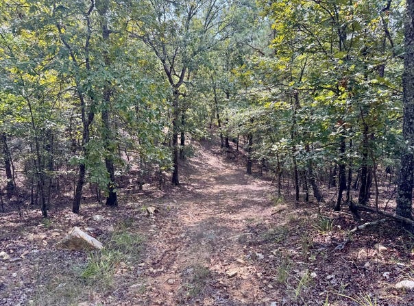 Tbd Broken Bow Trl., Lonsdale, AR 72087
