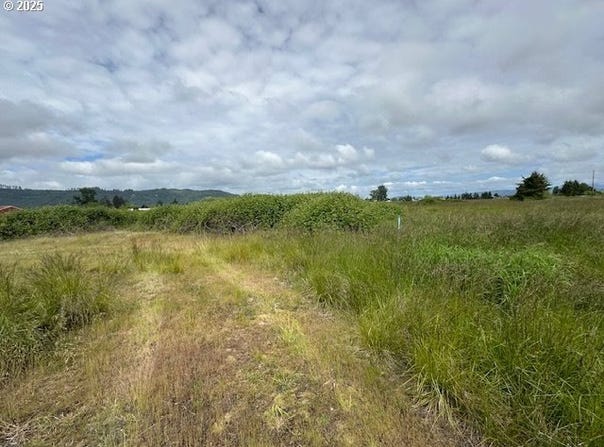1 Springer ST, Cathlamet, WA 98612