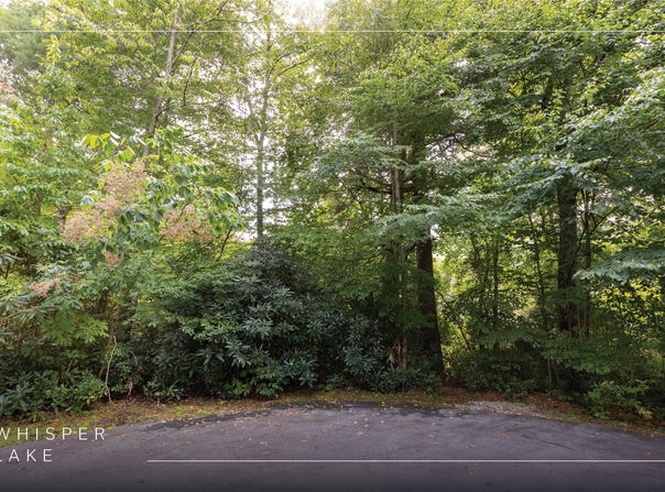 231R Pine Forest Court lot: 231-R, Sapphire, NC 28774
