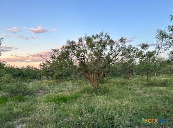 587 Valley Rd., Eldorado, TX 76936