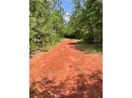 0 Conecuh St, Greenville, AL 36037