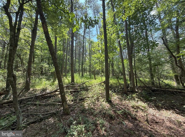 14.5 AC PCL A- OFF VIRGINIA LINE RD, BERKELEY SPRINGS, WV 25411