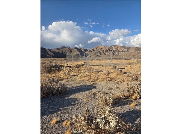 Mint, Whitewater, CA 92282
