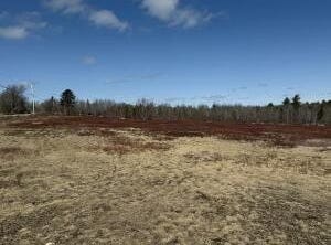 MAP13LOT21 Route 199 Route, Penobscot, ME 04476