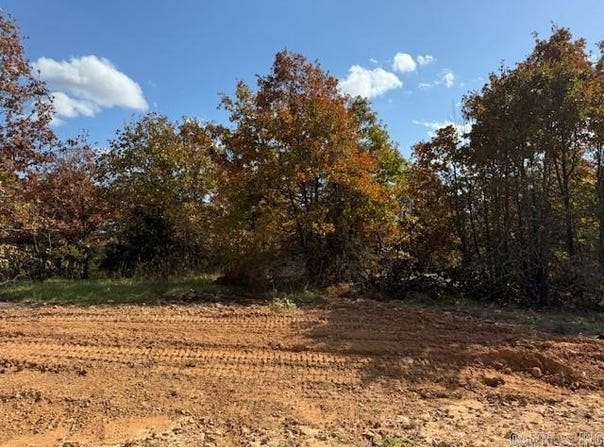 90 Summer Sky Drive, Greenbrier, AR 72058