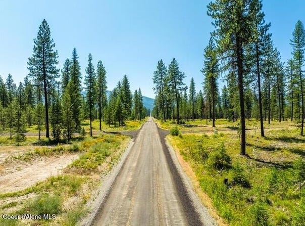 Lt 3 Blk 1 CANNON LANE, Blanchard, ID 83804