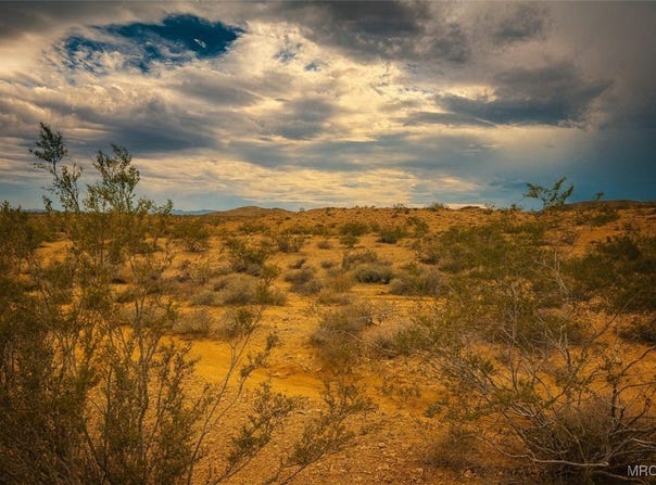 Bowman Trail, Joshua Tree, CA 92252