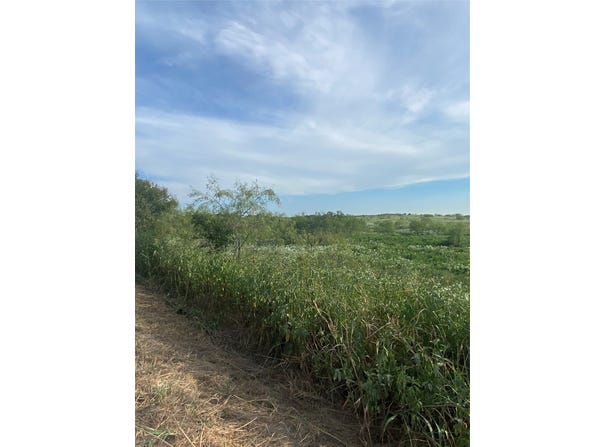 County Road 3254, Mount Calm, TX 76673