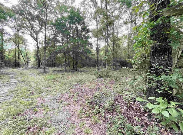 4599 Brushy Creek Rd, Range, AL 36473