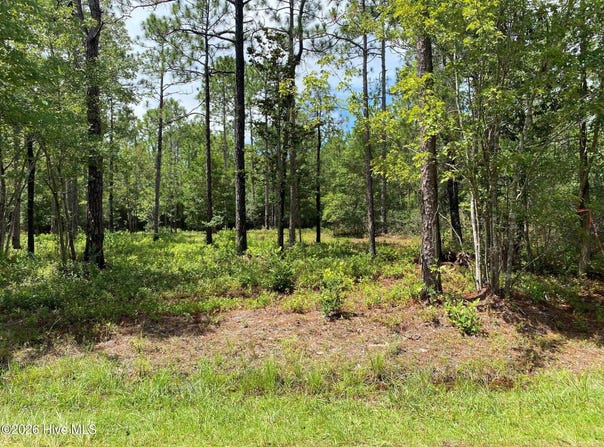 361 Ash Road lot: 32&33, Boiling Spring Lakes, NC 28461