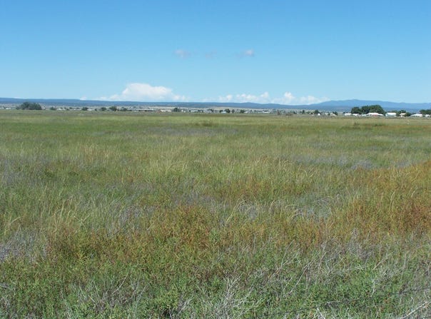 C. DEL SOL A081/MULBERRY A146, McIntosh, NM 87032