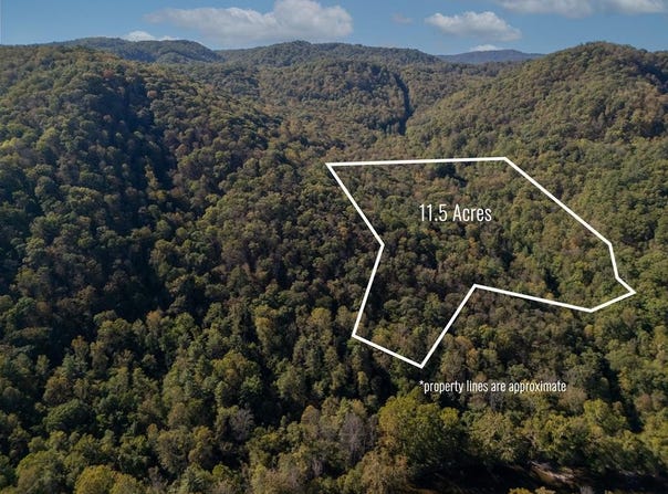 Bluestone River Rd, JUMPING BRANCH, WV 25951