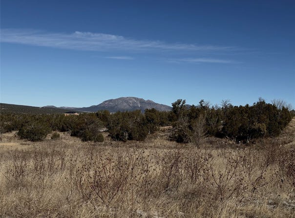 20 Wildwood Rdg, Edgewood, NM 87015