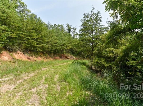 The Vines Boulevard lot: 9, Marshall, NC 28753