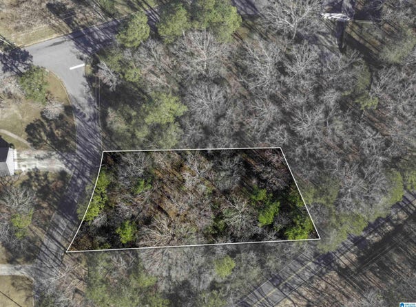 1105 EASTBROOK LANE lot: 19, BIRMINGHAM, AL 35215
