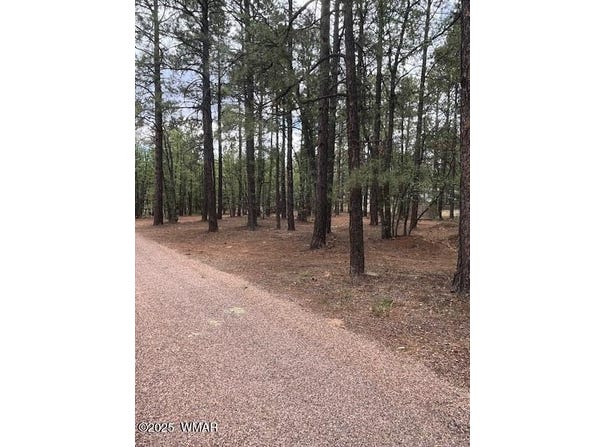 5480 Apache Trail, Pinetop, AZ 85935