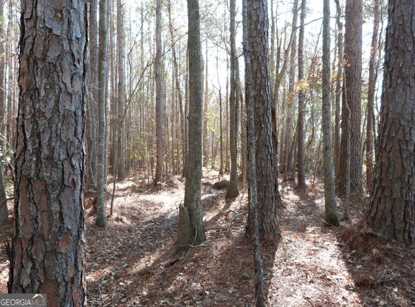 0 Highway 119 North, Ellabell, GA 31308