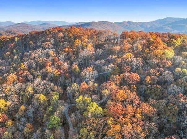 Lot 4 Wilderness Way, Blue Ridge, GA 30513