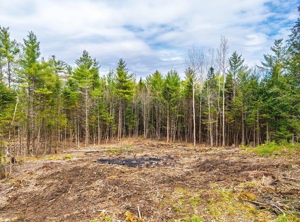 3 Forest Drive, Albany Twp, ME 04217