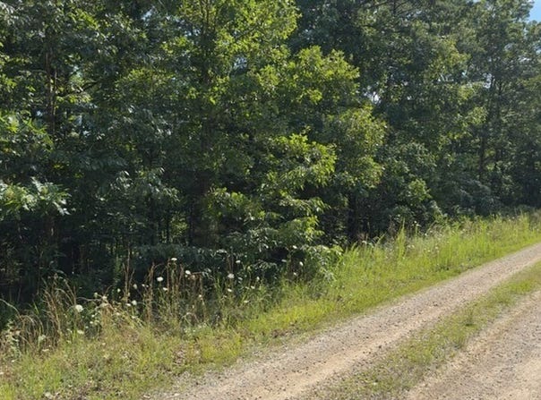 2150 Golden Road, Raymondville, MO 65555