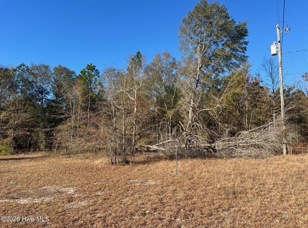 Golden Eagle Lane, Hephzibah, GA 30815