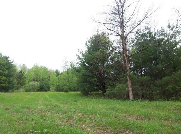 COUNTY ROAD S, SOBIESKI, WI 54171-0000