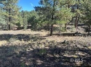 384 Macdonnell Lp, Texas Creek, CO 81223