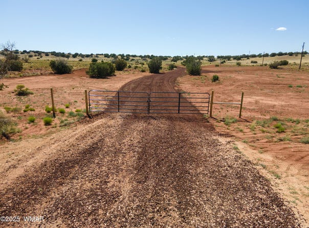 1545 County Road, Concho, AZ 85924